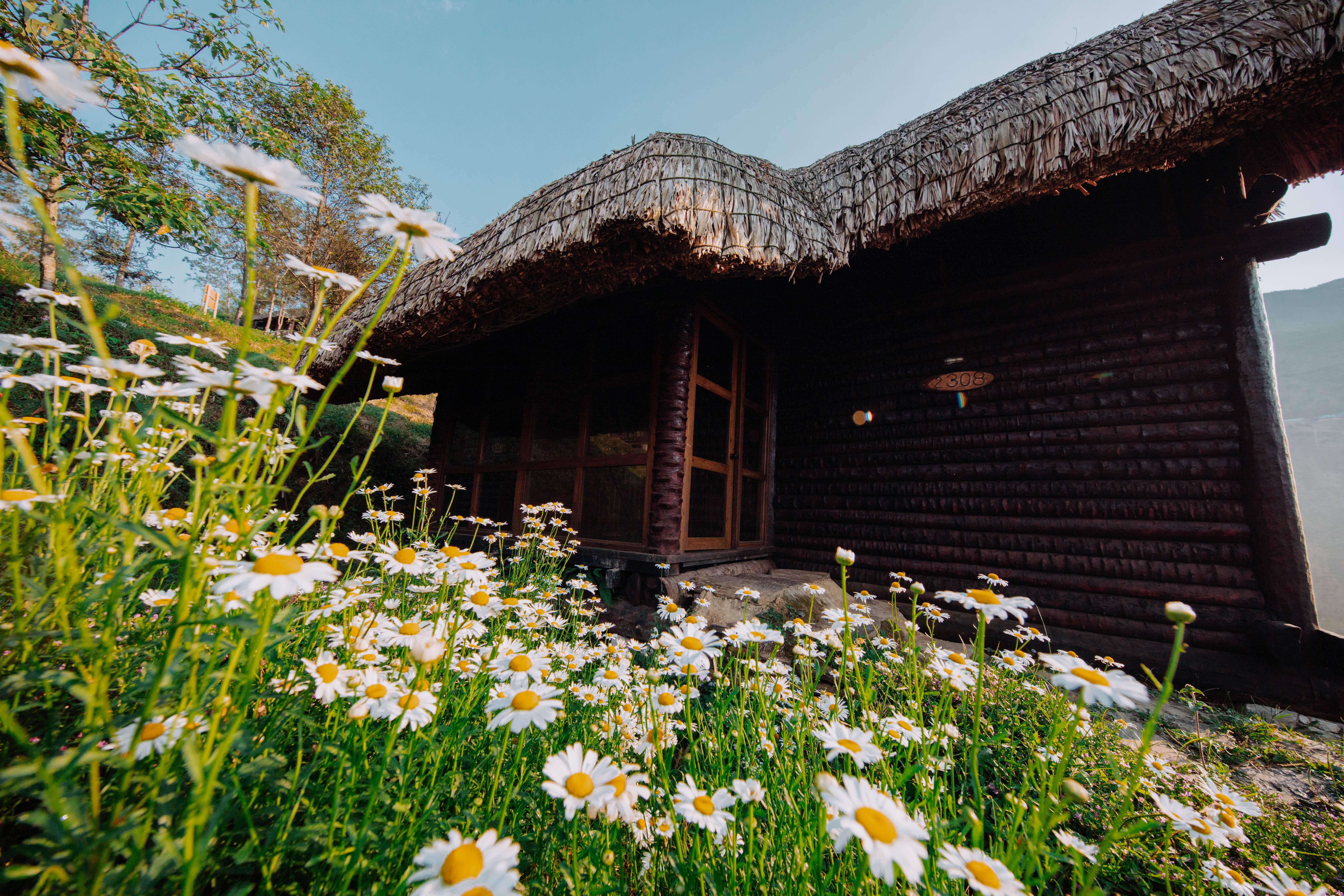 Sapa Jade Hill Resort & Spa Екстериор снимка